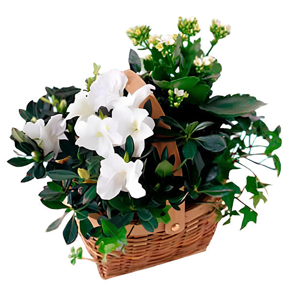 white flower basket