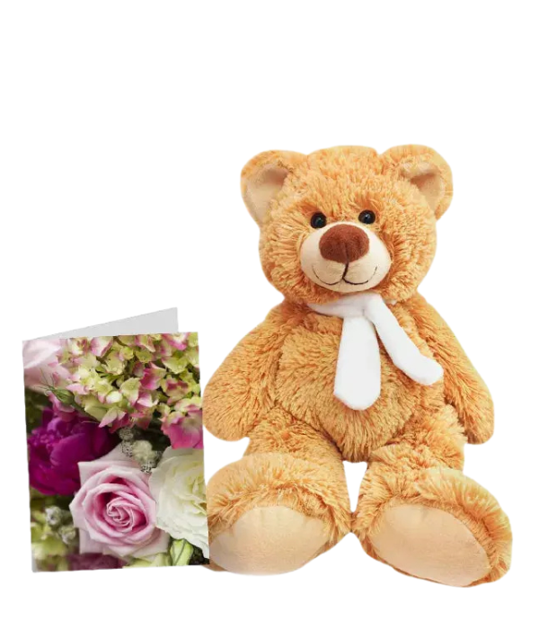 Teddy & Card Special