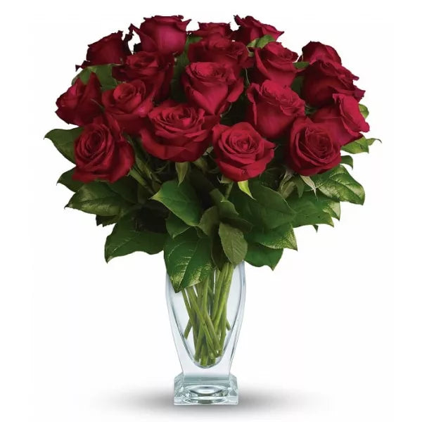 Long-Stem-Red-Roses