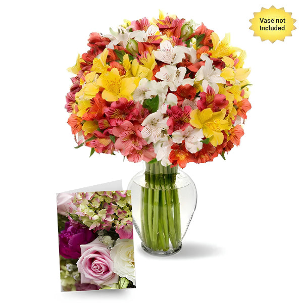 100 blooms of alstroemerias and a greeting card