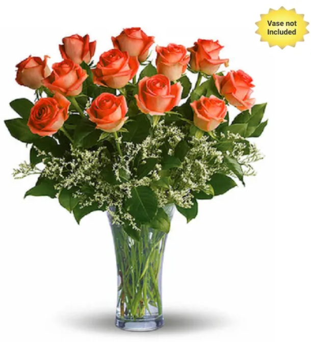 orange roses