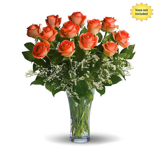 12 Long Stemmed Orange Roses