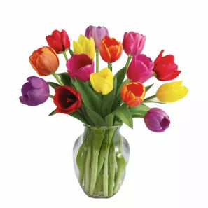 15 Spring Tulips