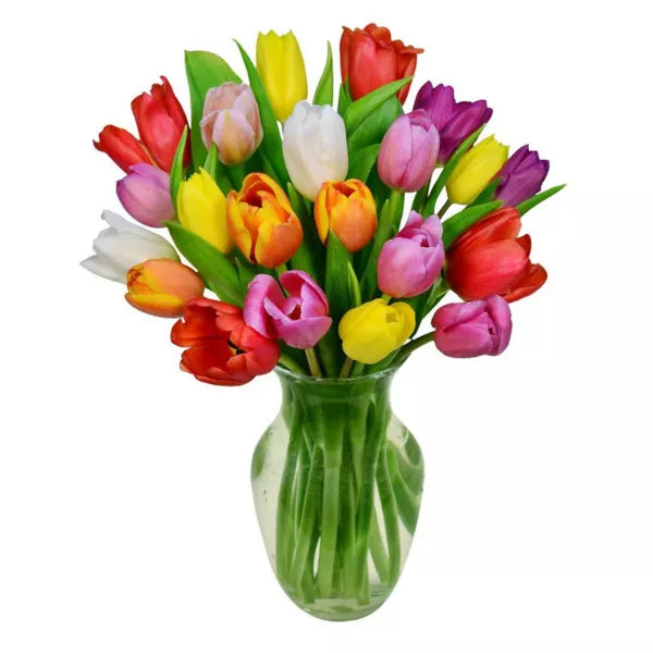 spring-tulips