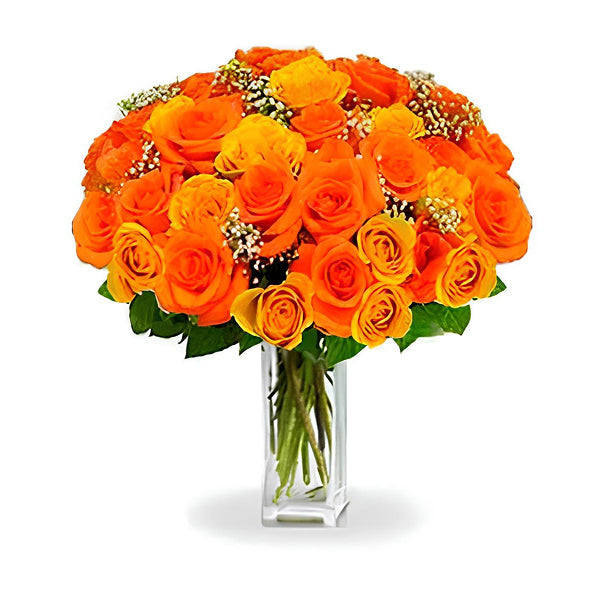 36 Long Stem Orange Roses