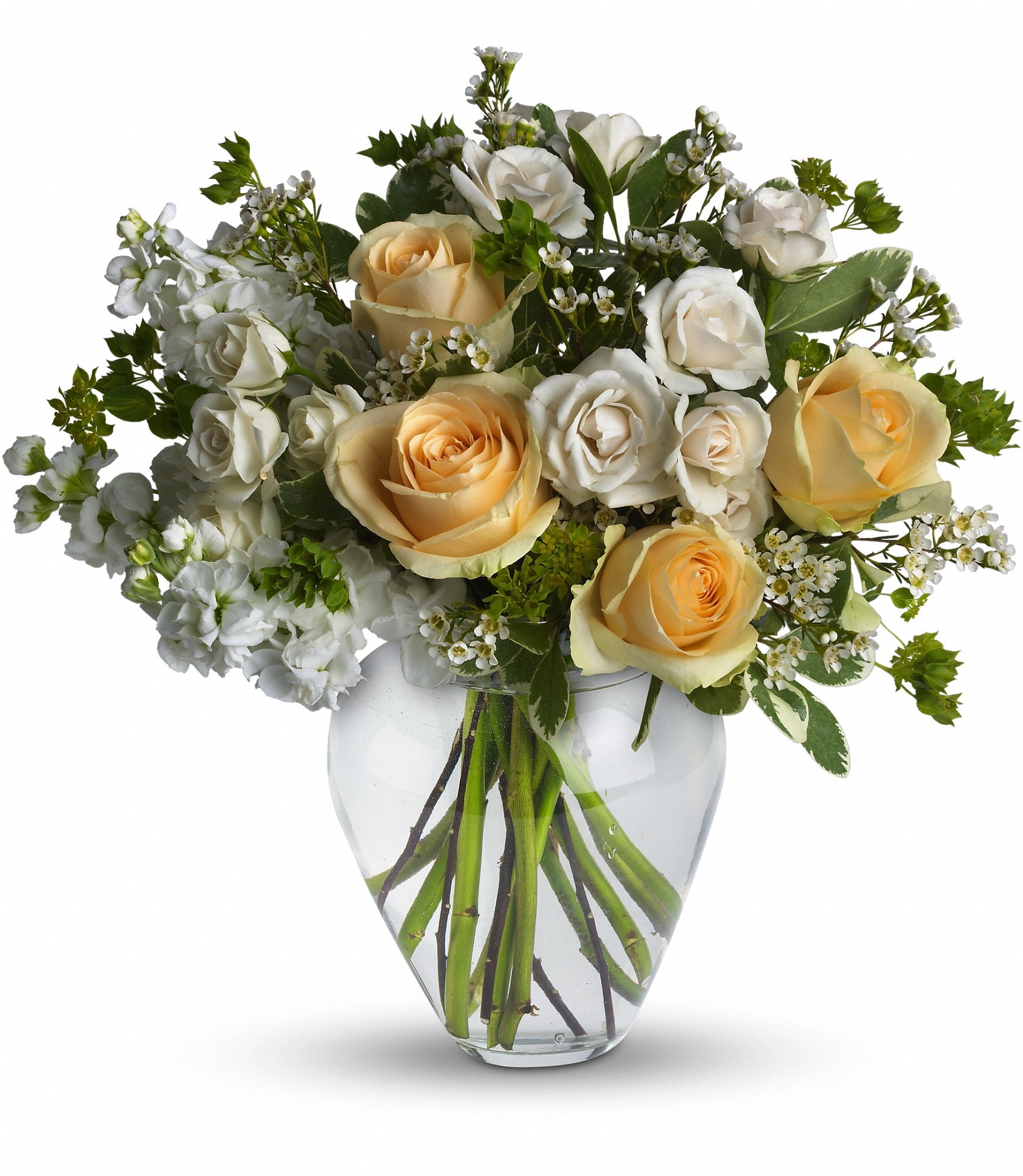 roses in a vase