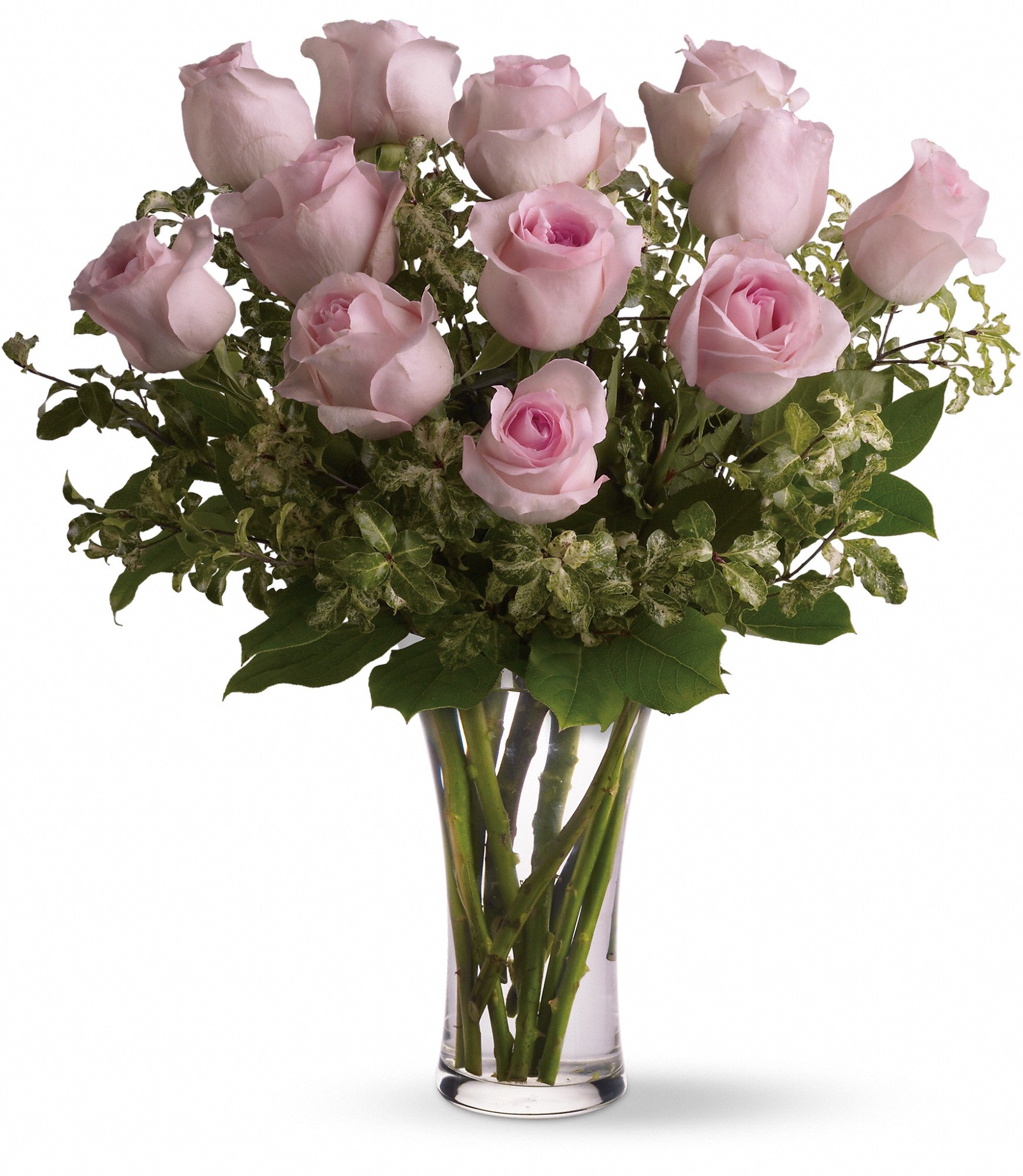 pink roses