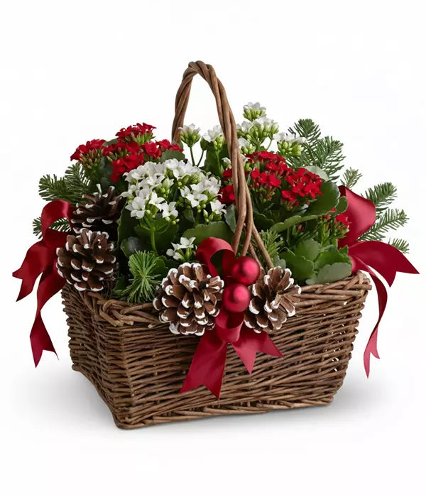 Joyeux Noel Planter Basket