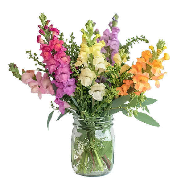 colordul snapdragons in mason jar