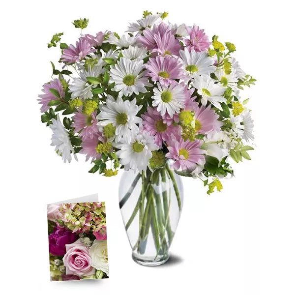 Sweet Blossoms Collection I