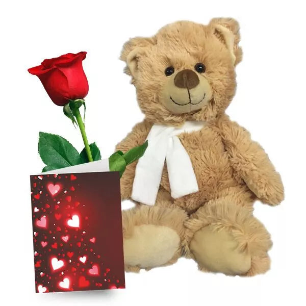 Teddy, Rose & Card