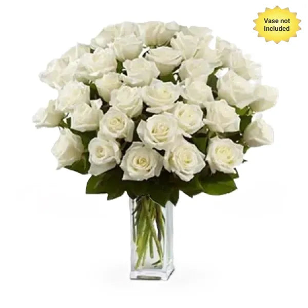 3 Dozen Long Stemmed White Roses