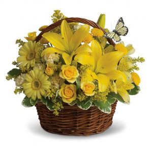 Basket Full of Wishes
