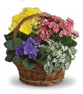 Blooming Planter Basket 