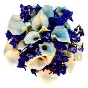 Blue and White Joy 