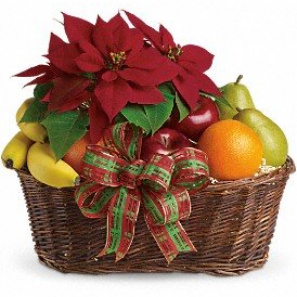 Poinsettia & Fruit Basket 