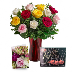 "Search" Rose Special