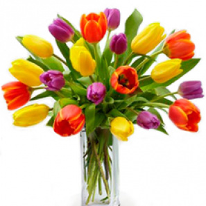 20 Assorted Tulip Bouquet 