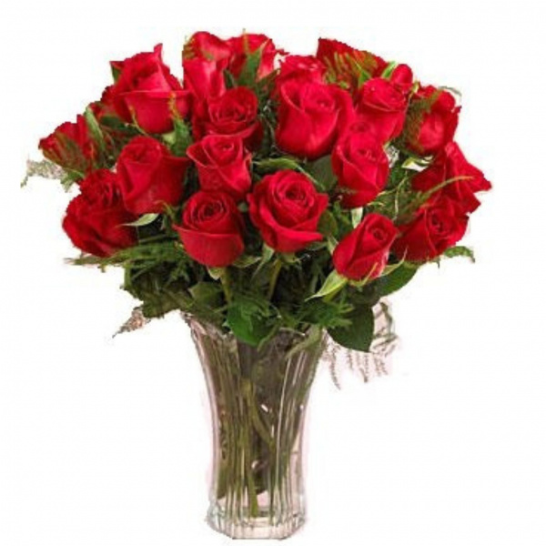Two Dozen Red Roses 